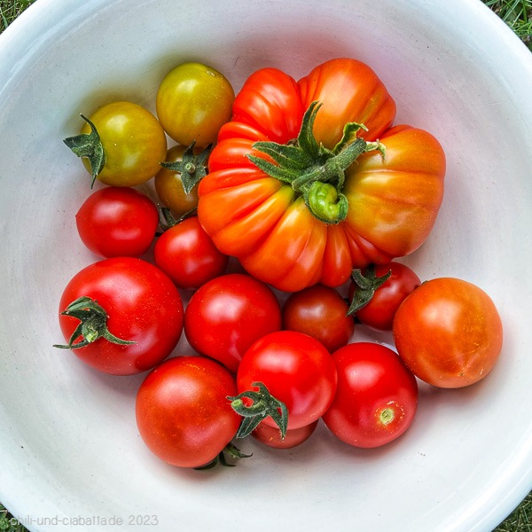 verschiedene Tomaten